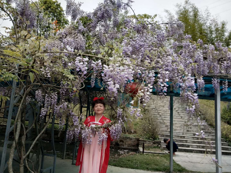 莉莉的第一张照片--宁化征婚网