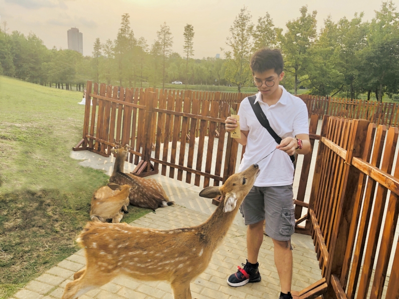 米兰的小铁匠的第一张照片--宁化征婚网