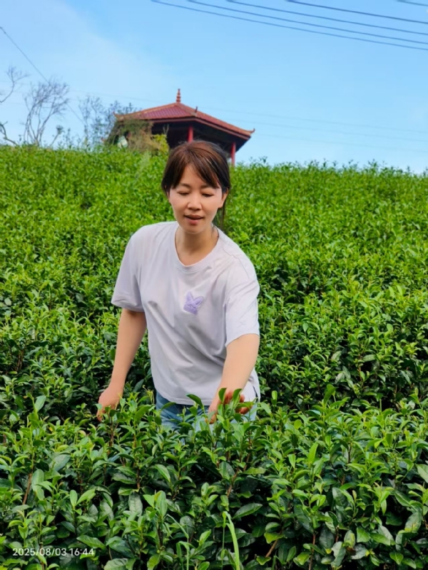 Q绮芳的第一张照片--宁化征婚网